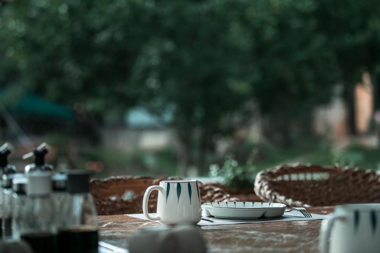 Adonis Inn Lijiang Lijiang  Dış mekan fotoğraf