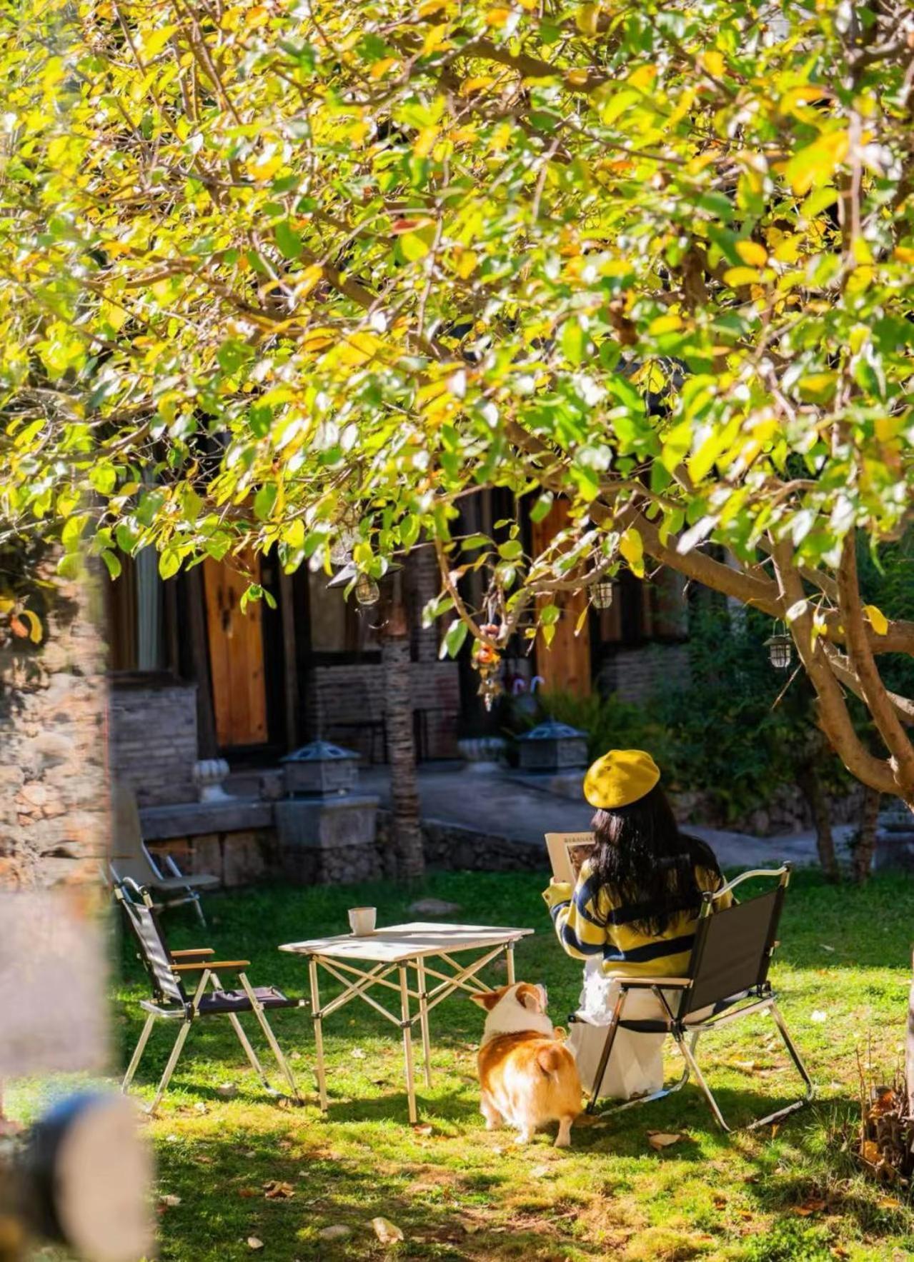 Adonis Inn Lijiang Lijiang  Dış mekan fotoğraf